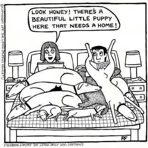 Meet your Posher, Tina - Picture 7 of 16